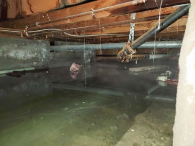 Basement Flood Restoration