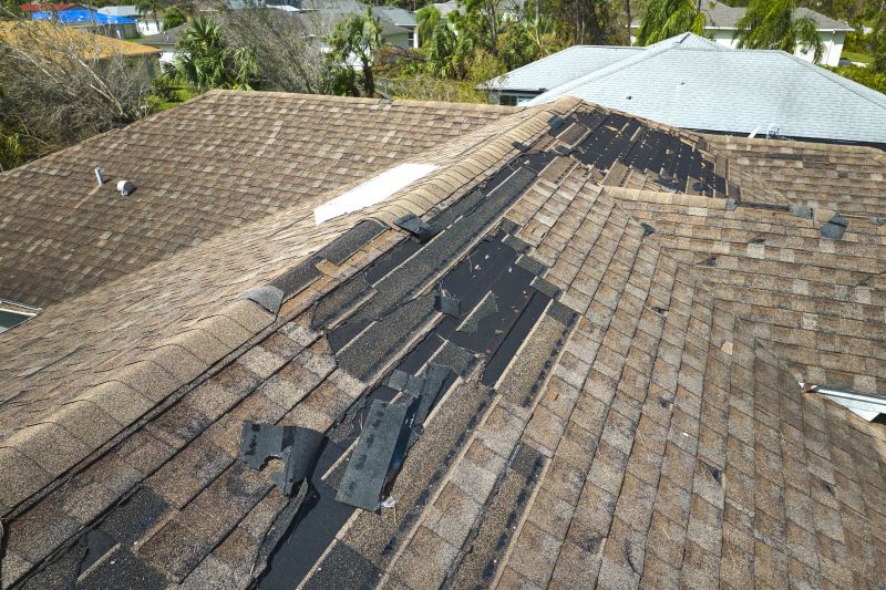 Roof Repairs and Replacements