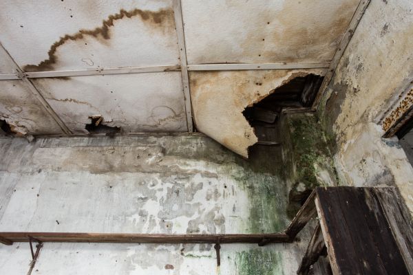 Water Damage Service in Englewood