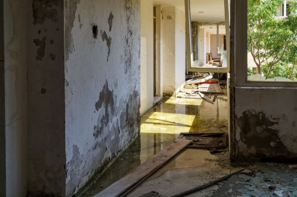 Cost of Water Removal Service in Englewood