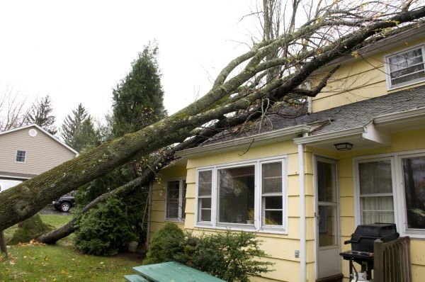 Hurricane Damage Repair in Englewood